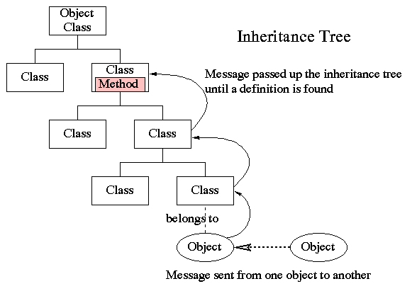 The type hierarchy tree