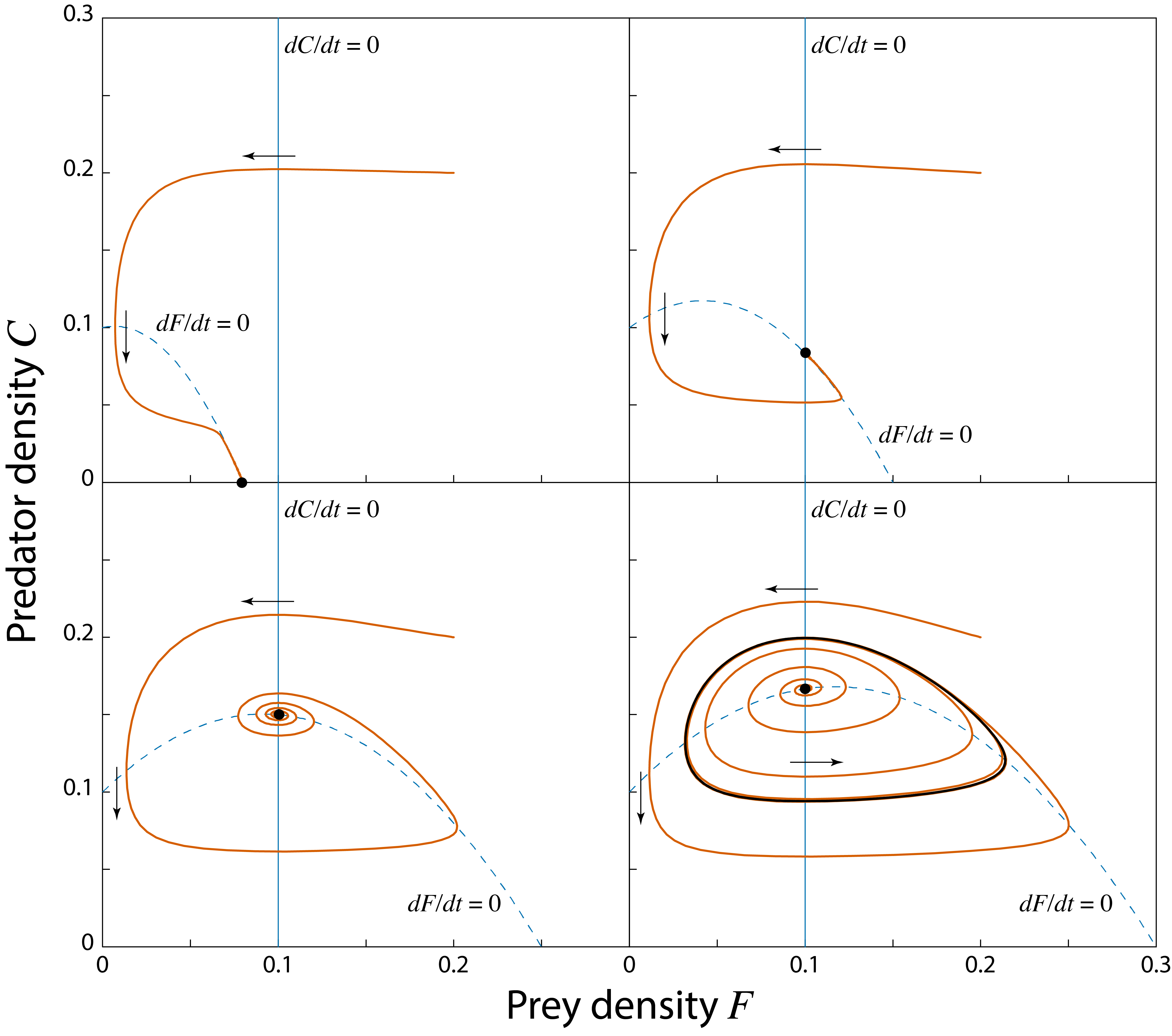 Solution curves in the phase plane of the Rosenzweig-MacArthur predator-prey model. Two isoclines where $dF/dt=0$ (vertical, thin solid line) and $dC/dt=0$ (hump-shaped, thin dashed line) are drawn (the isoclines coinciding with the $x$- and $y$-axis have been omitted).  The isoclines intersect in the internal steady state.  *Top-left panel*: $K=0.08$; the internal steady state is biologically irrelevant, the prey-only equilibrium is a stable equilibrium.  *Top-right panel*: $K=0.15$; the internal steady state is a stable equilibrium. *Bottom-left panel*: $K=0.25$; the internal steady state is a stable spiral. *Bottom-right panel*: $K=0.3$; the internal steady state is an unstable spiral. In this latter figure two trajectories are drawn: one starting close to the unstable steady state, the other starting far away from it. Both approach the unique limit cycle (thick solid line).  Other parameter values: $r=0.5$, $a=5.0$, $h=3.0$, $\epsilon=0.5$ and $\mu=0.1$.