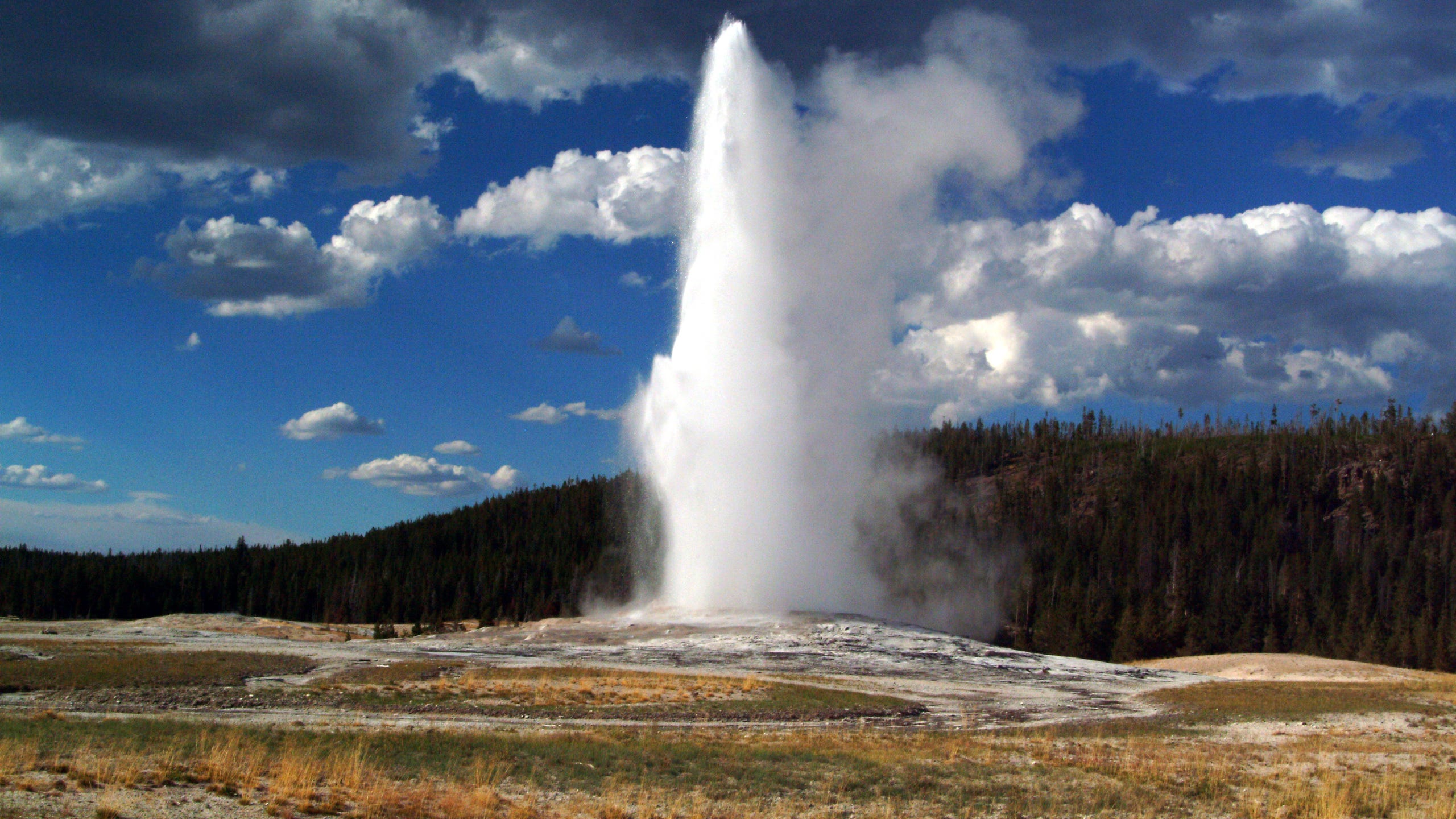 The Old Faithful geyser in Yellowstone National Park, Wyoming, USA.