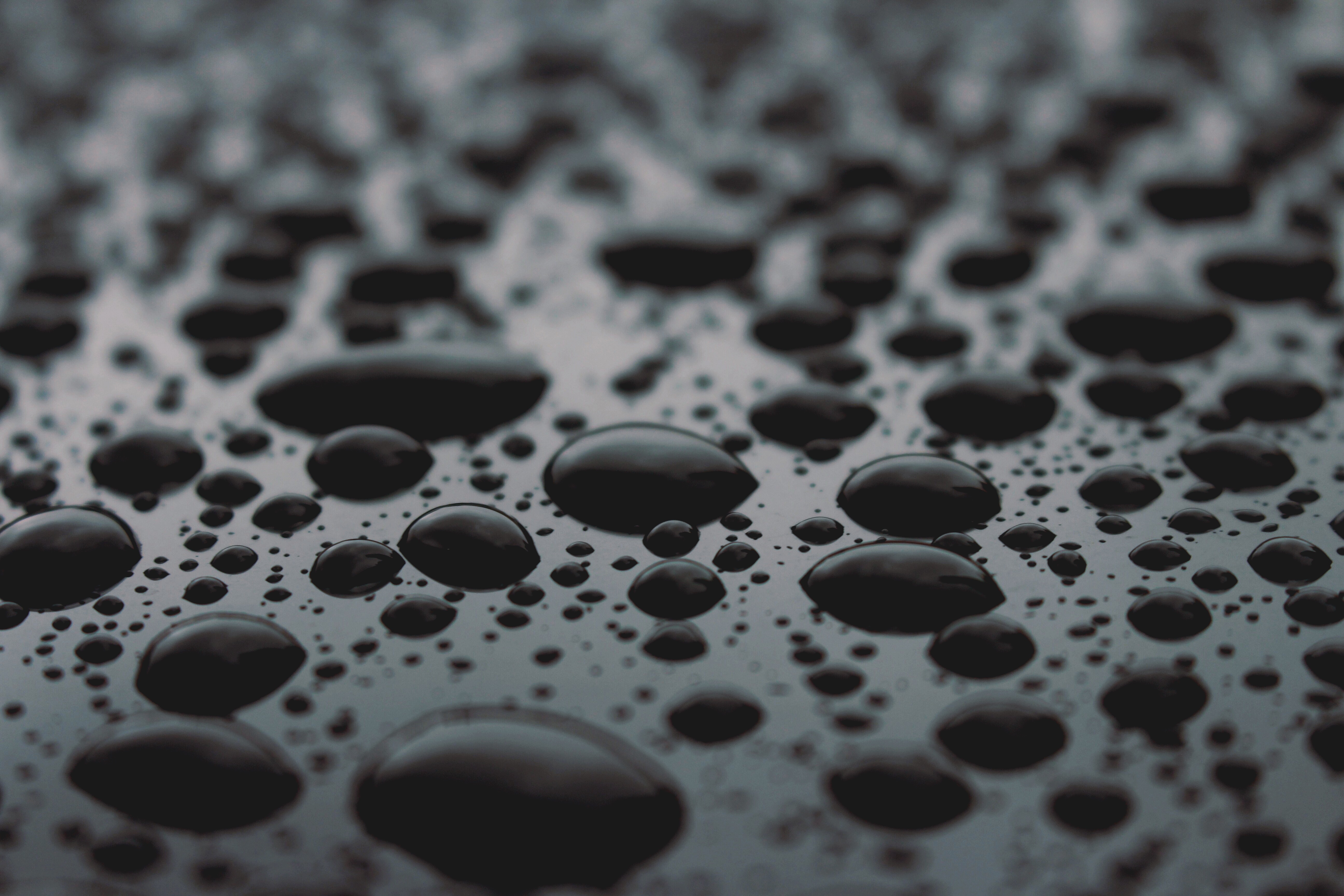 image credit: rawpixel id 3283477