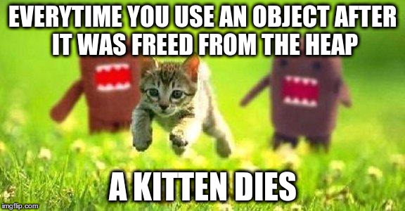 Don't use objects after free()!